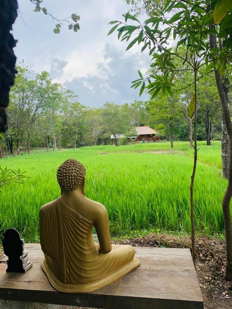 Sahana Retreat Buttala Exteriér fotografie
